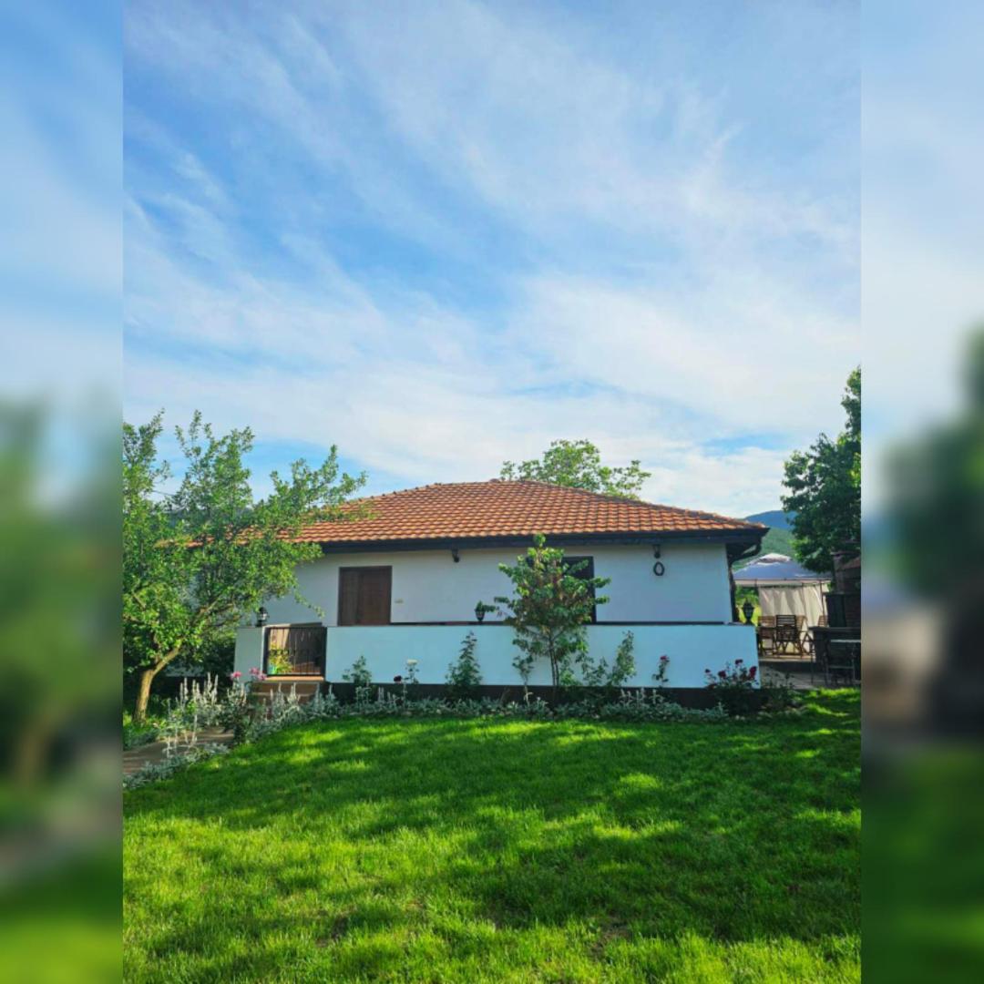 House Milovanovic Sokobanja Exterior foto